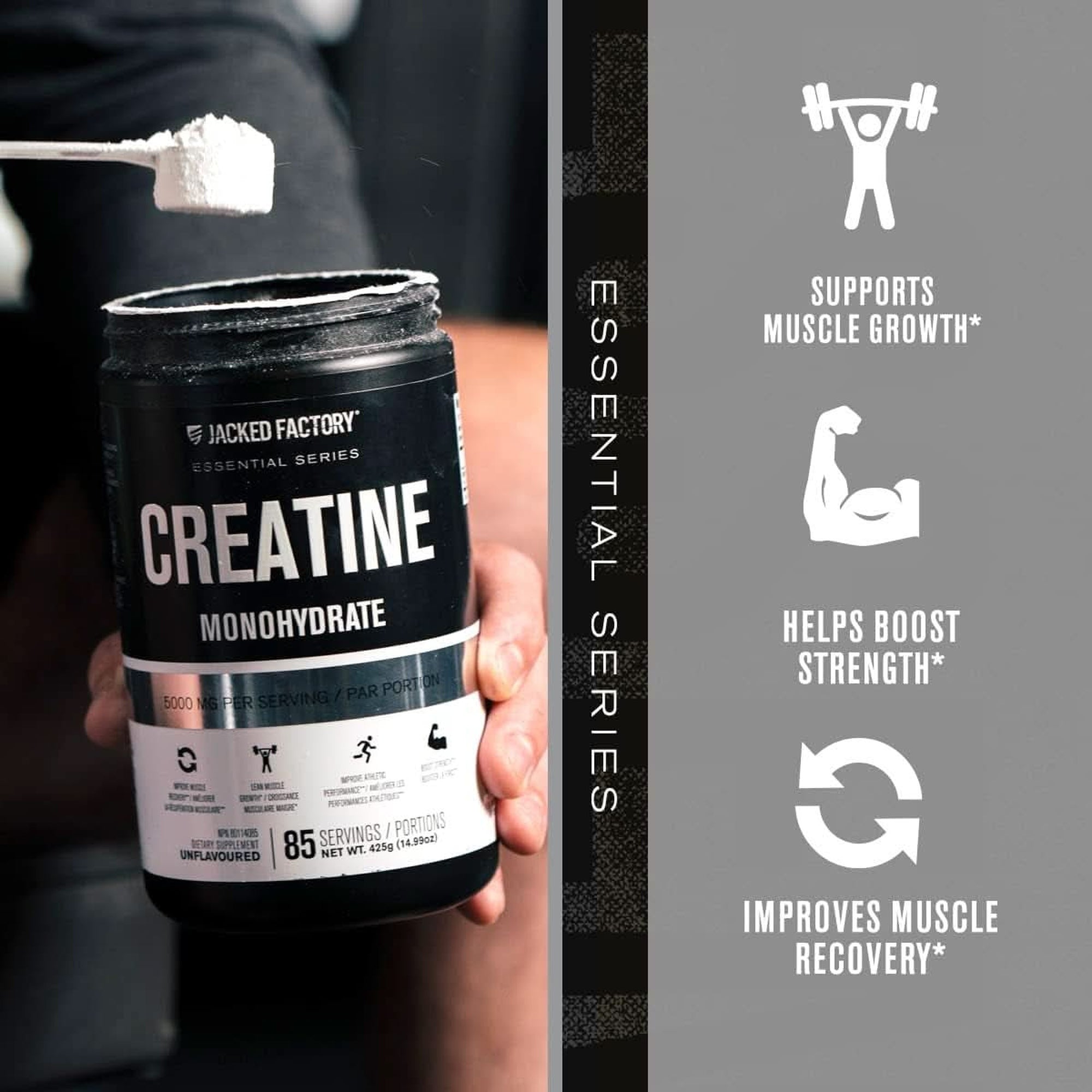 Jacked Factory Creatine Monohydrate Powder 425G - Creatine Supplement for Muscle Growth, Increased Strength, Enhanced Energy Output and Improved Athletic Performance 85 Servings, Unflavored