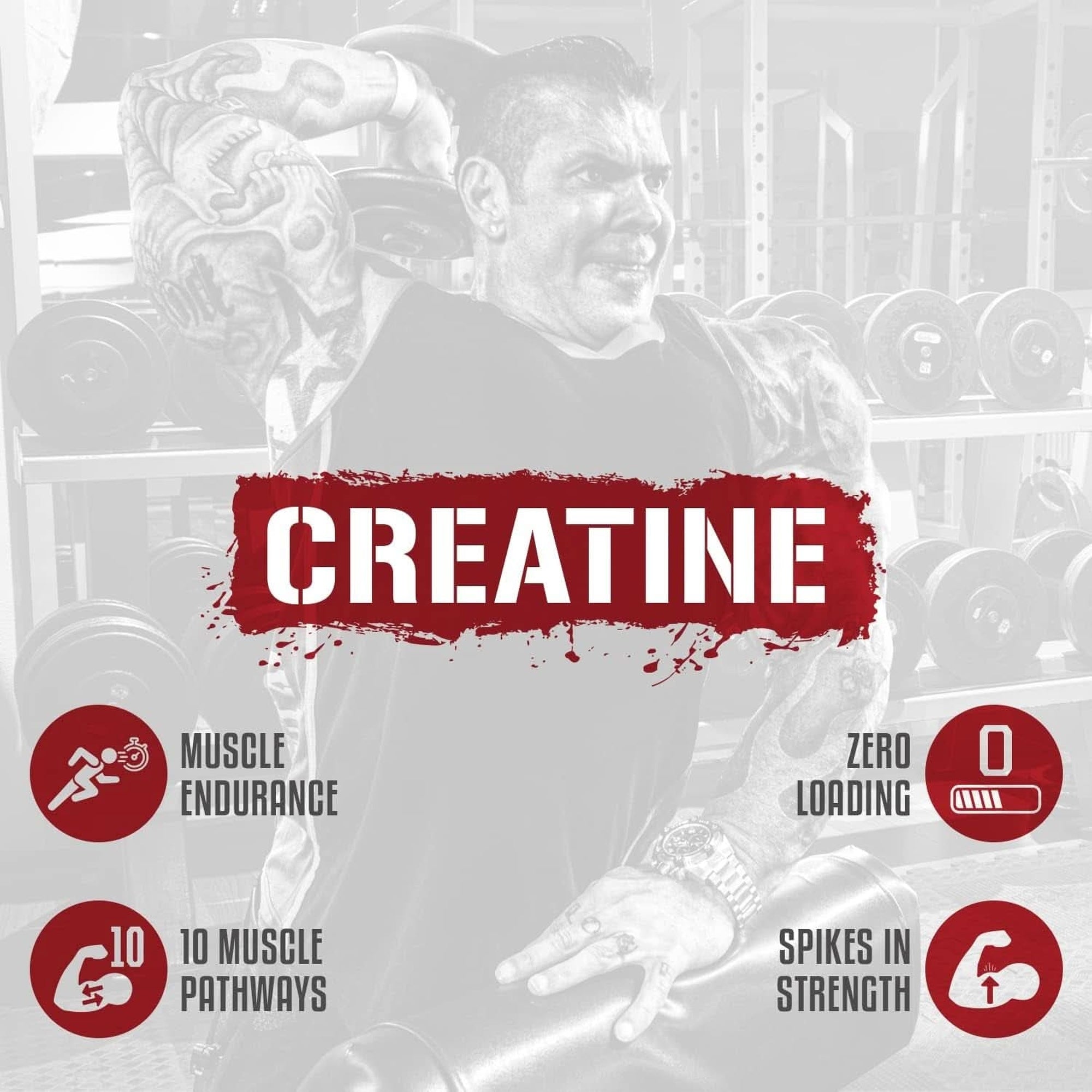 5% Nutrition Createn Creatine Complex + Accelerators | Flavored Creatine Powder for Muscle Gain | Max Power, Strength, Endurance, & Recovery (Blueberry Lemonade)