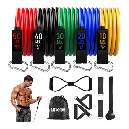 Resistance Bands, Resistance Band Set, Workout Bands, Exercise Bands for Men and Women, Exercise Bands with Door Anchor, Physical Therapy, Shape Body