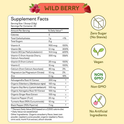 Feel Goods Immunity Icon, Zero Sugar, Vitamin C, A, B, D, E & Zinc, Organic Elderberry, Ashwagandha, Drink Mix Powder, Vegan, Non GMO, Caffeine & Gluten Free | Wild Berry, 30 Servings