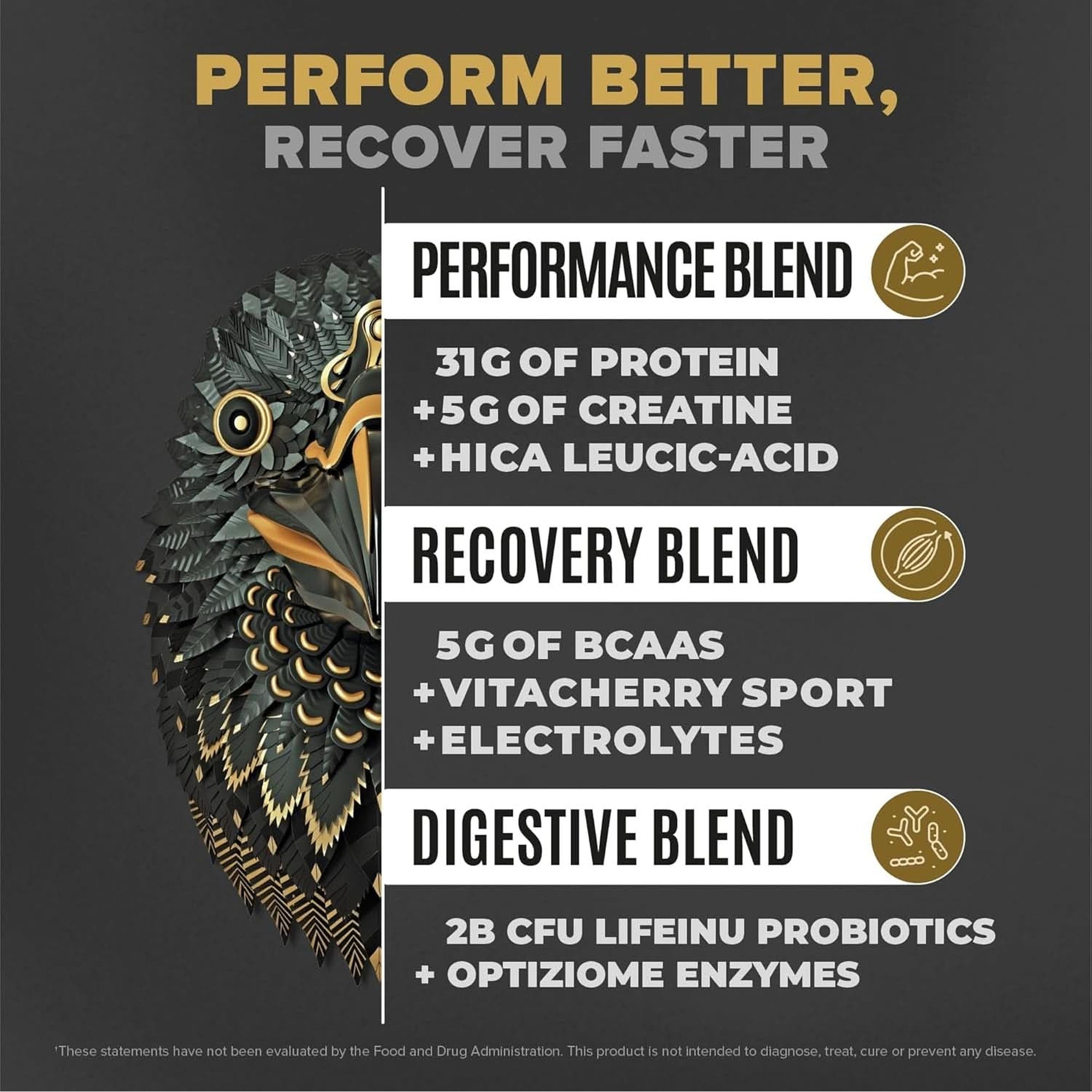 BIRDMAN Falcon Performance Vegan Protein Powder, 31G Protein, 5G Creatine, 5G BCAA, Probiotics, Electrolytes, Pre Workout, Low Carb, Sugar Free & Dairy Free, Plant Based Vanilla Protein -19 Servings