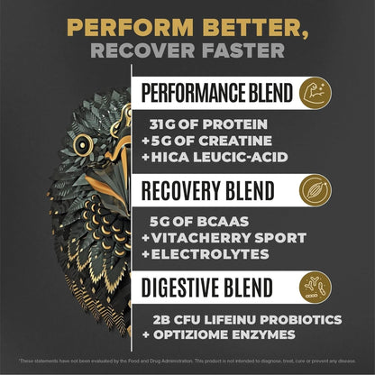 BIRDMAN Falcon Performance Vegan Protein Powder, 31G Protein, 5G Creatine, 5G BCAA, Probiotics, Electrolytes, Pre Workout, Low Carb, Sugar Free & Dairy Free, Plant Based Vanilla Protein -19 Servings