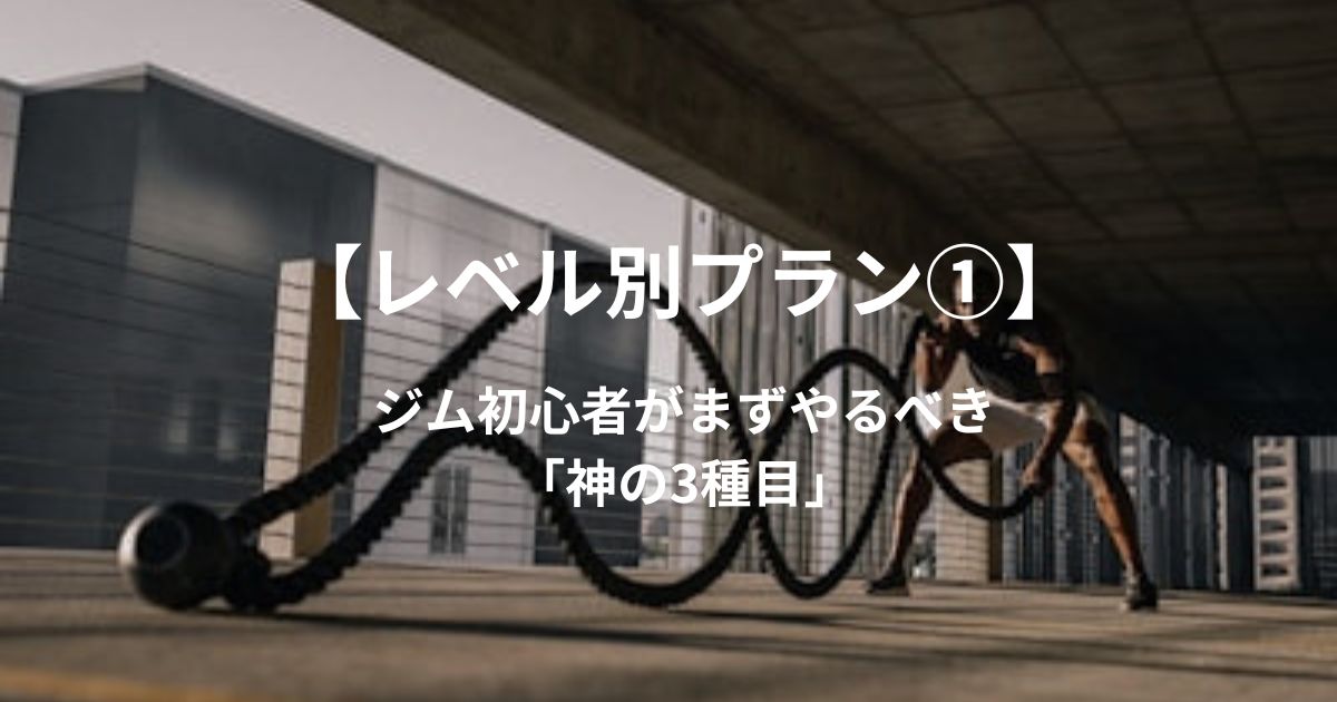 【レベル1】ジムで挫折しない!24時間ジム店長が教える「初心者向け」具体的アクションプラン
